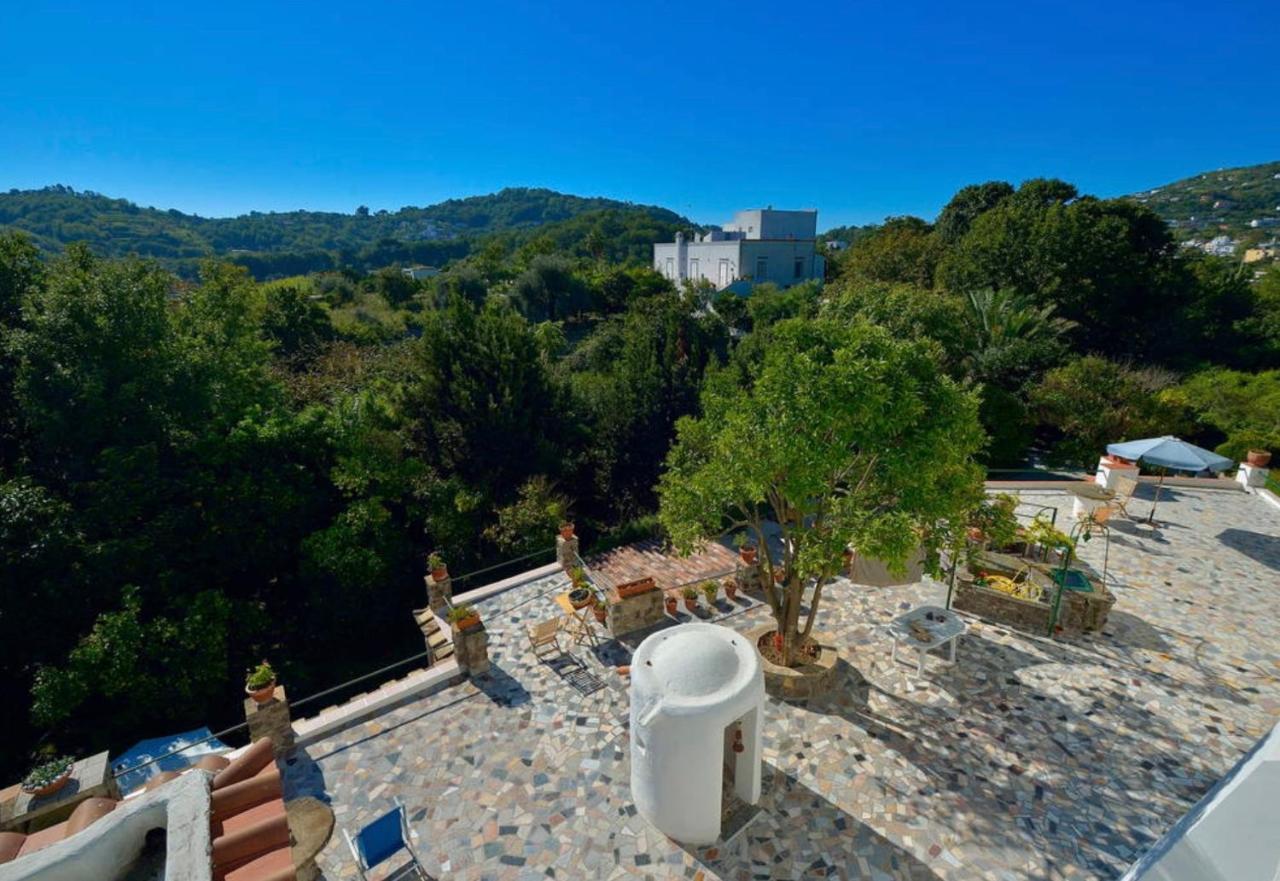 Villa Vincenzo Di Meglio Barano d'Ischia Bagian luar foto