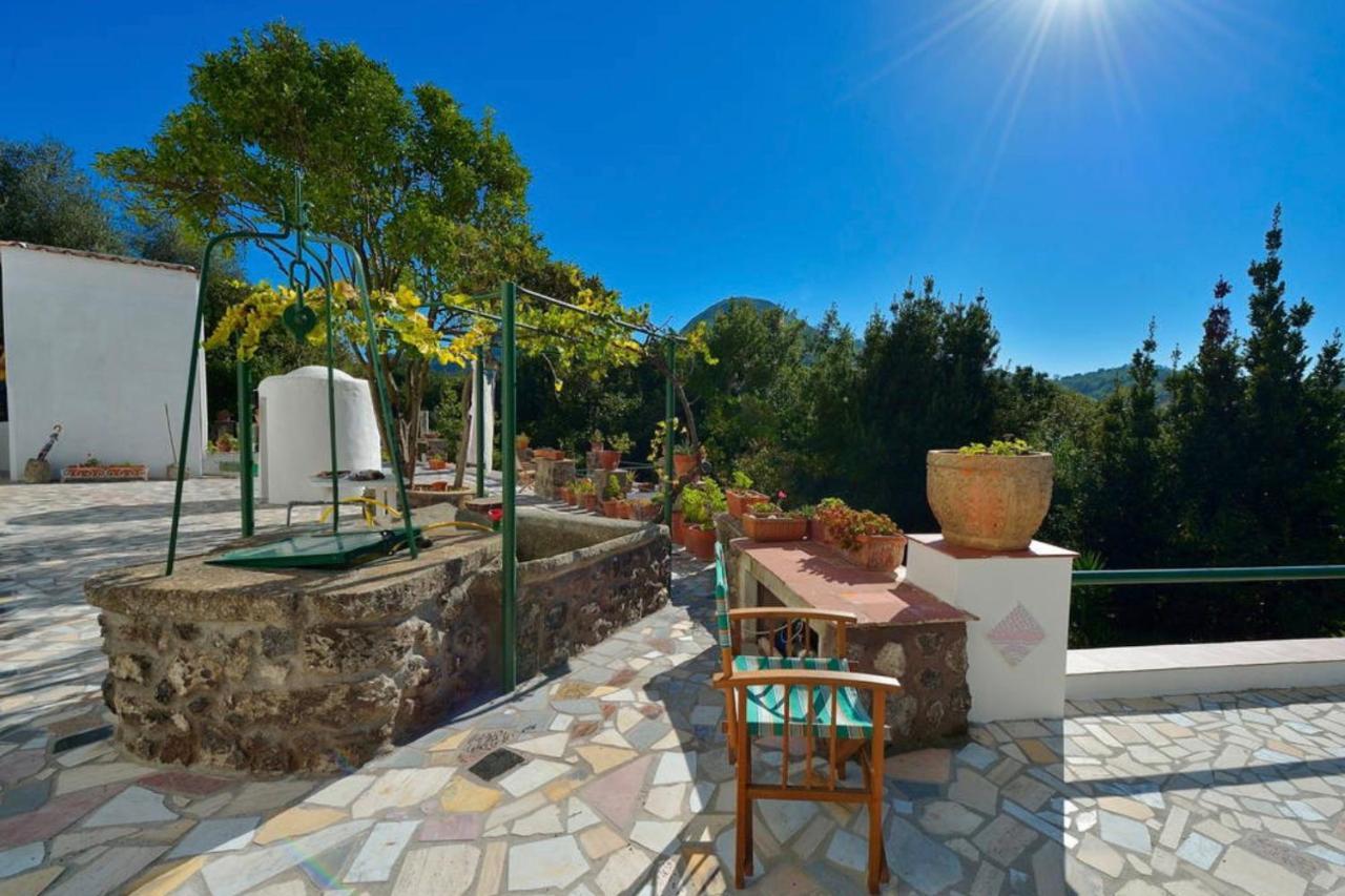 Villa Vincenzo Di Meglio Barano d'Ischia Bagian luar foto