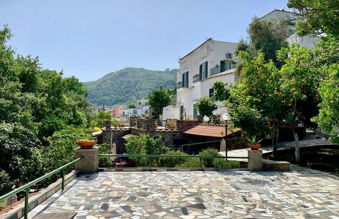 Villa Vincenzo Di Meglio Barano d'Ischia Bagian luar foto