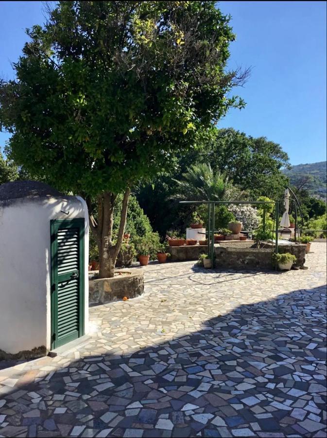 Villa Vincenzo Di Meglio Barano d'Ischia Bagian luar foto