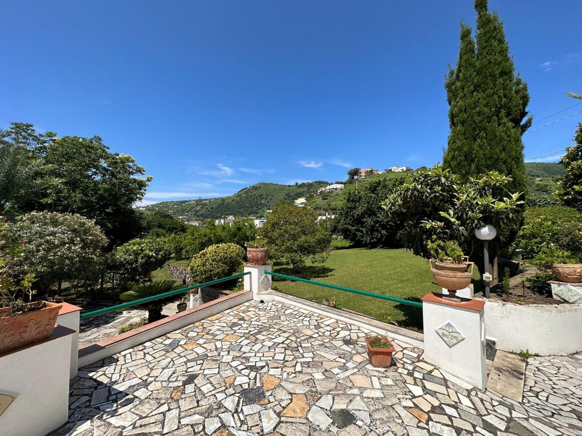 Villa Vincenzo Di Meglio Barano d'Ischia Bagian luar foto