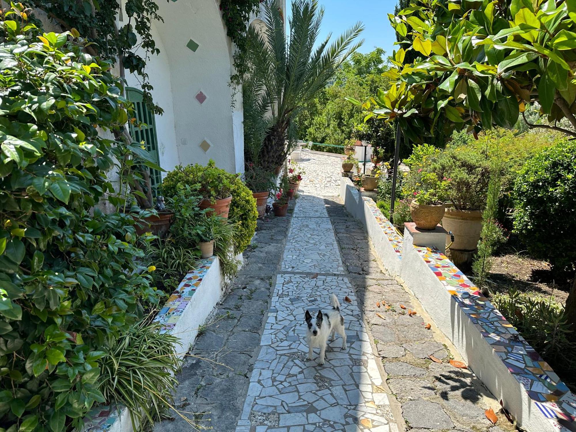 Villa Vincenzo Di Meglio Barano d'Ischia Bagian luar foto