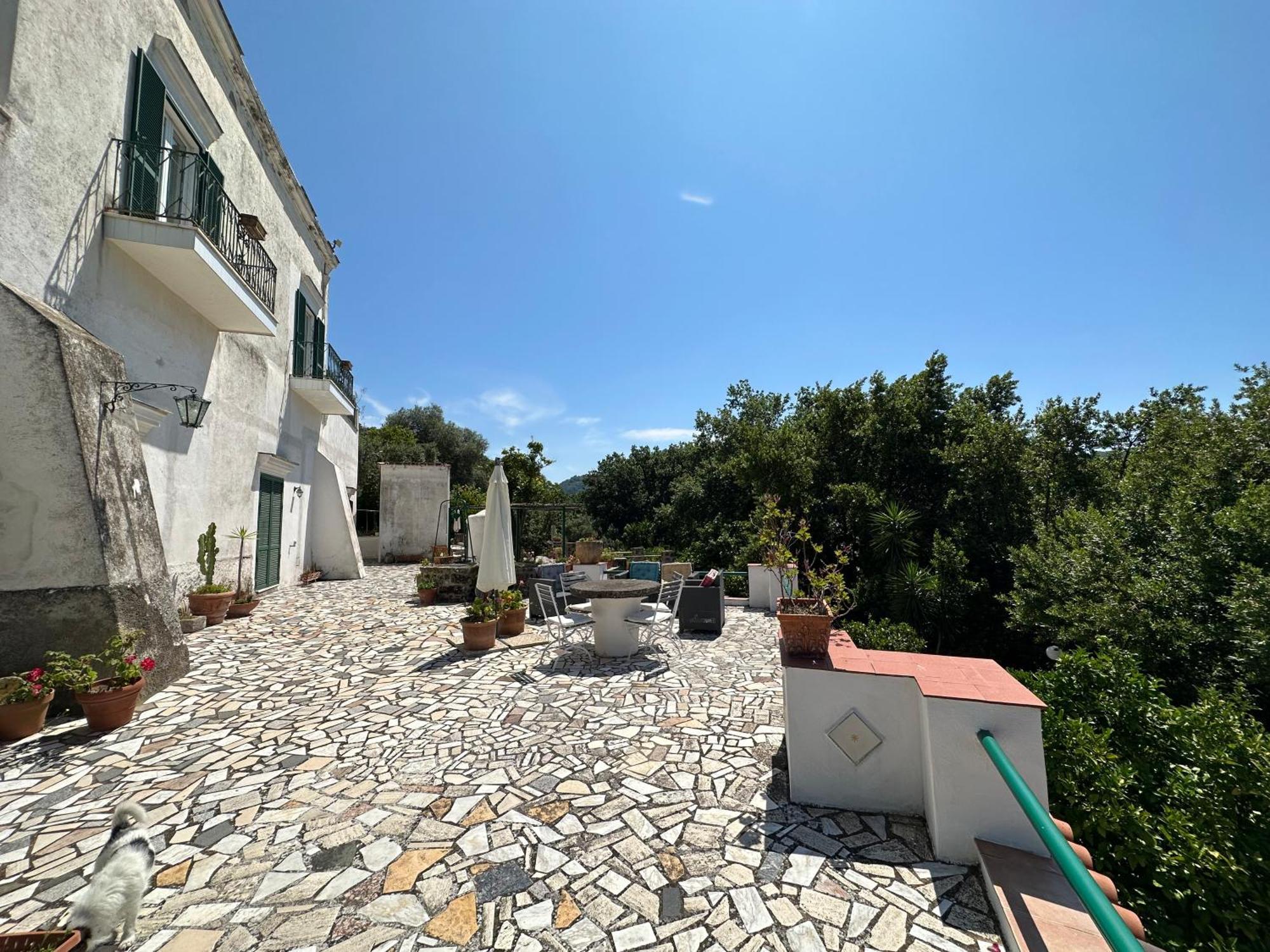 Villa Vincenzo Di Meglio Barano d'Ischia Bagian luar foto