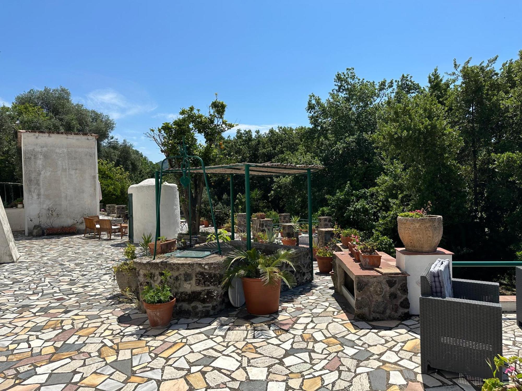 Villa Vincenzo Di Meglio Barano d'Ischia Bagian luar foto