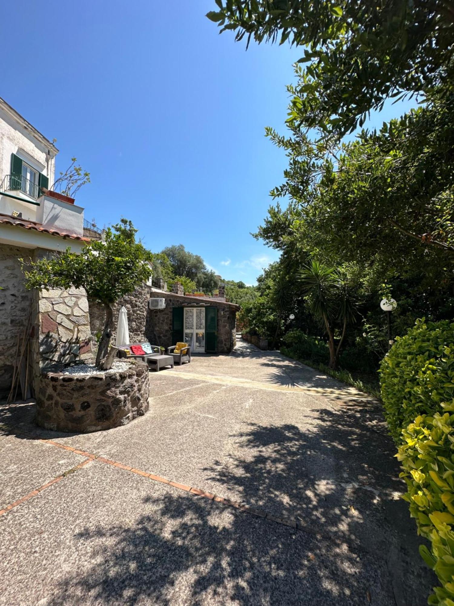 Villa Vincenzo Di Meglio Barano d'Ischia Bagian luar foto