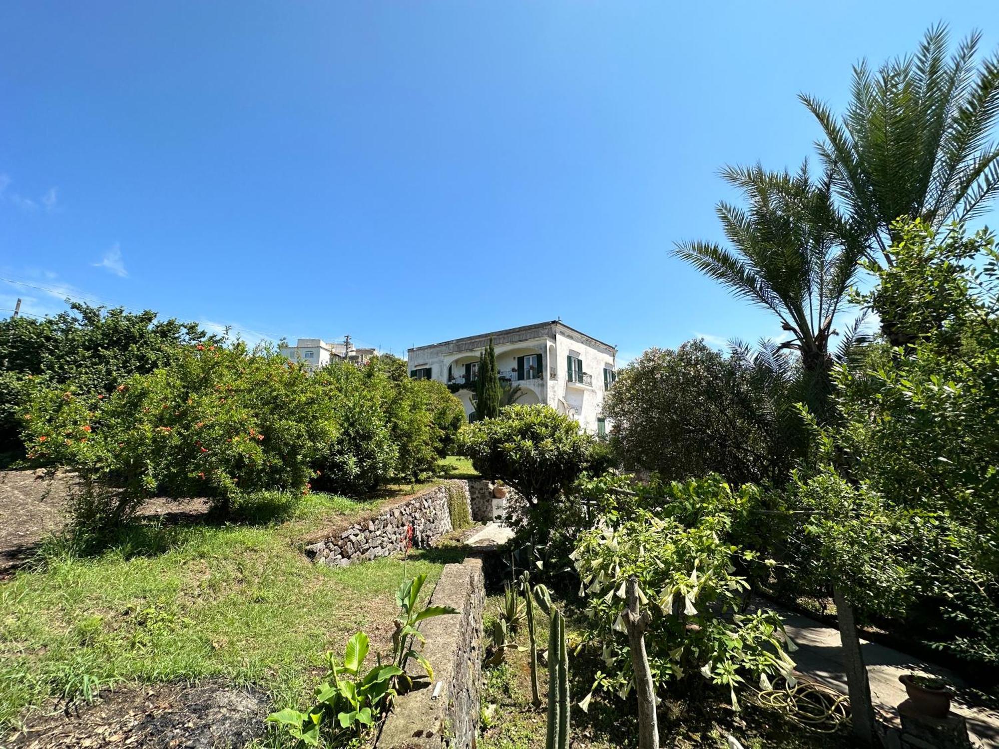 Villa Vincenzo Di Meglio Barano d'Ischia Bagian luar foto