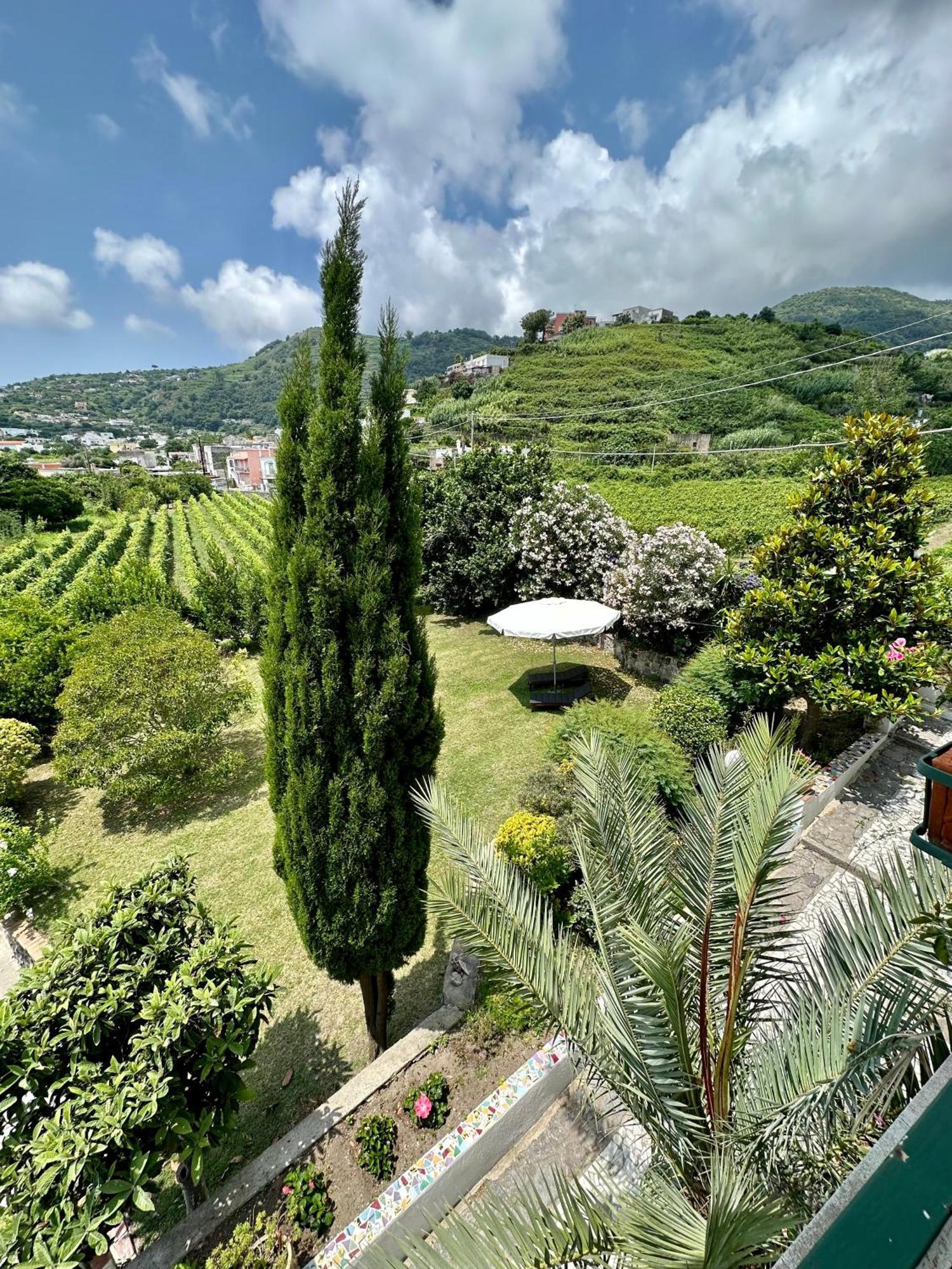 Villa Vincenzo Di Meglio Barano d'Ischia Bagian luar foto
