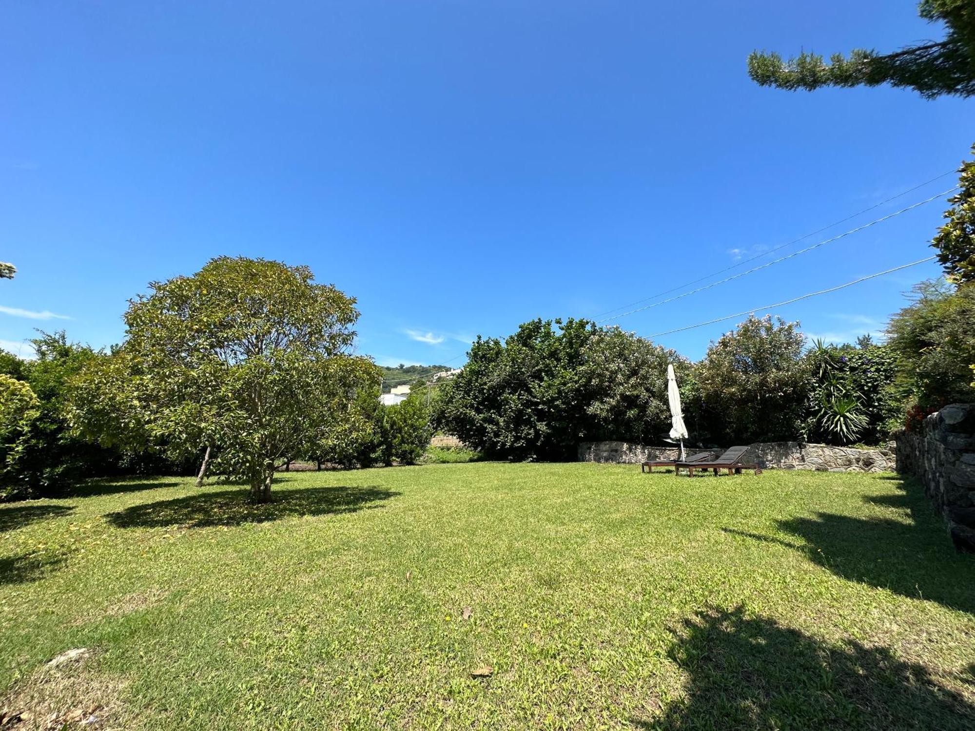 Villa Vincenzo Di Meglio Barano d'Ischia Bagian luar foto