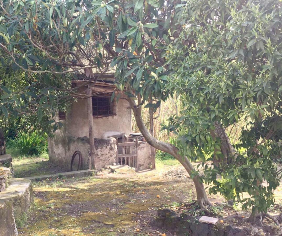 Villa Vincenzo Di Meglio Barano d'Ischia Bagian luar foto