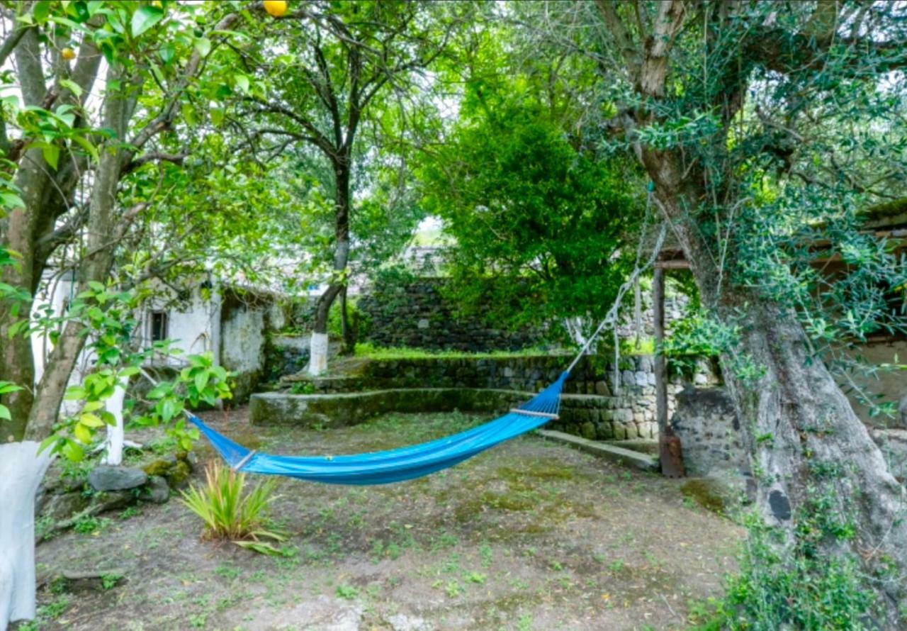 Villa Vincenzo Di Meglio Barano d'Ischia Bagian luar foto