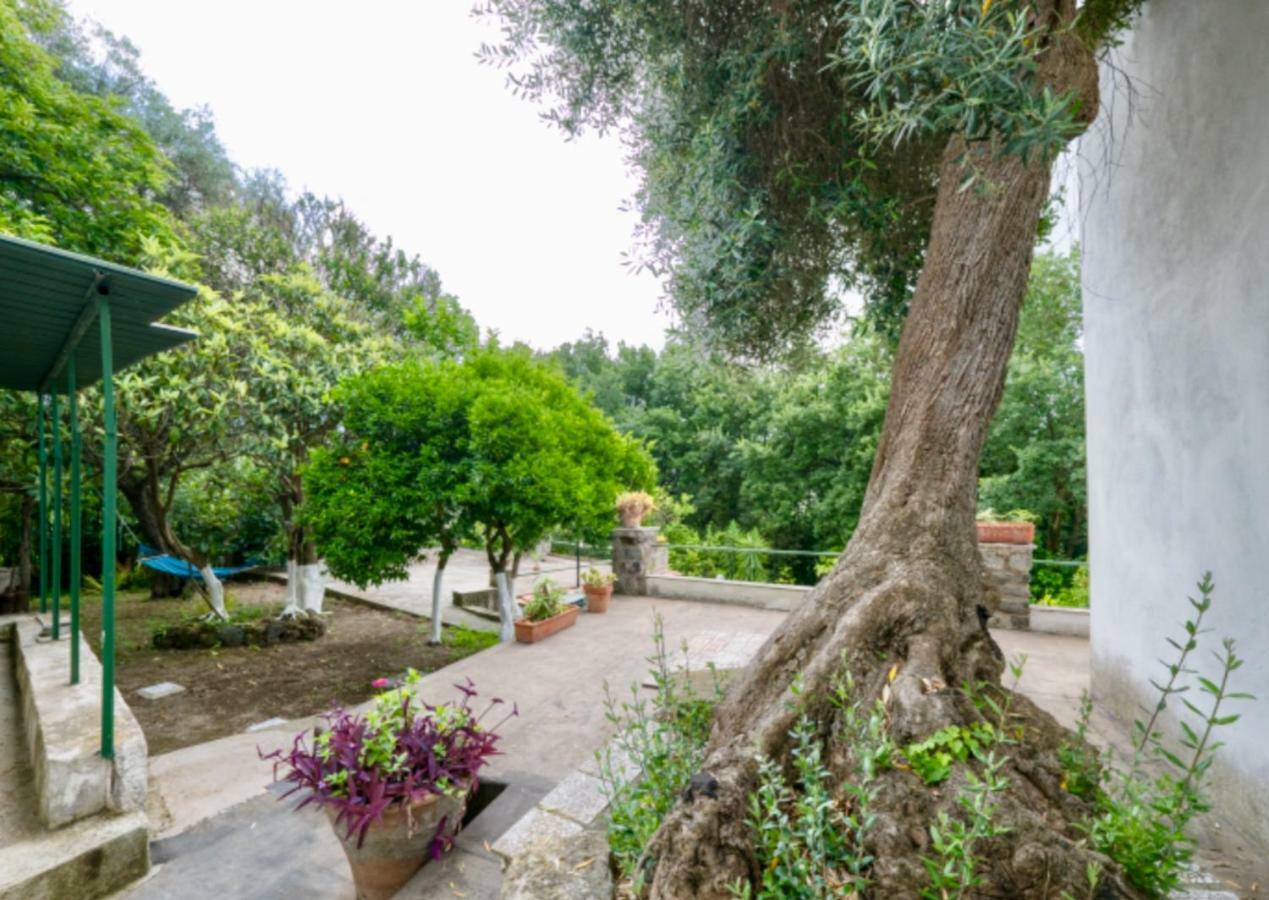 Villa Vincenzo Di Meglio Barano d'Ischia Bagian luar foto