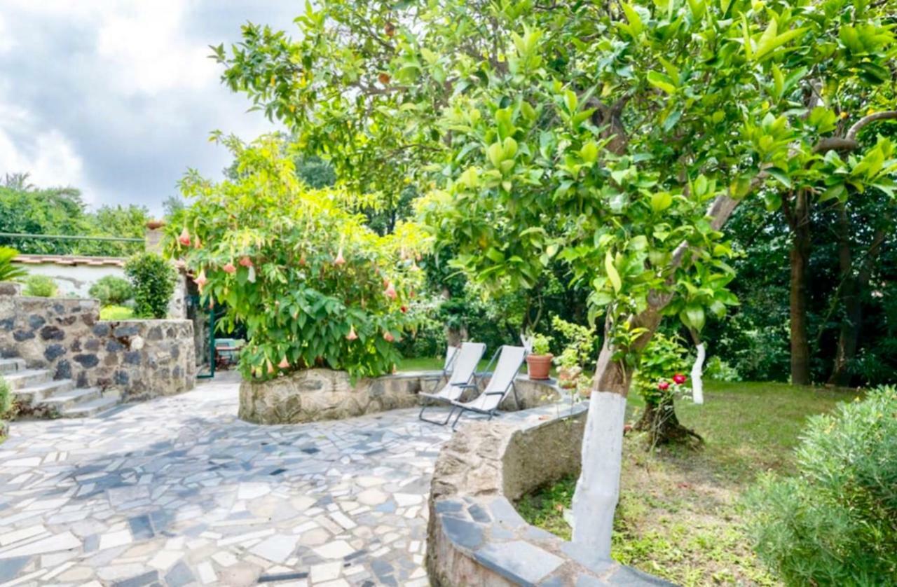 Villa Vincenzo Di Meglio Barano d'Ischia Bagian luar foto