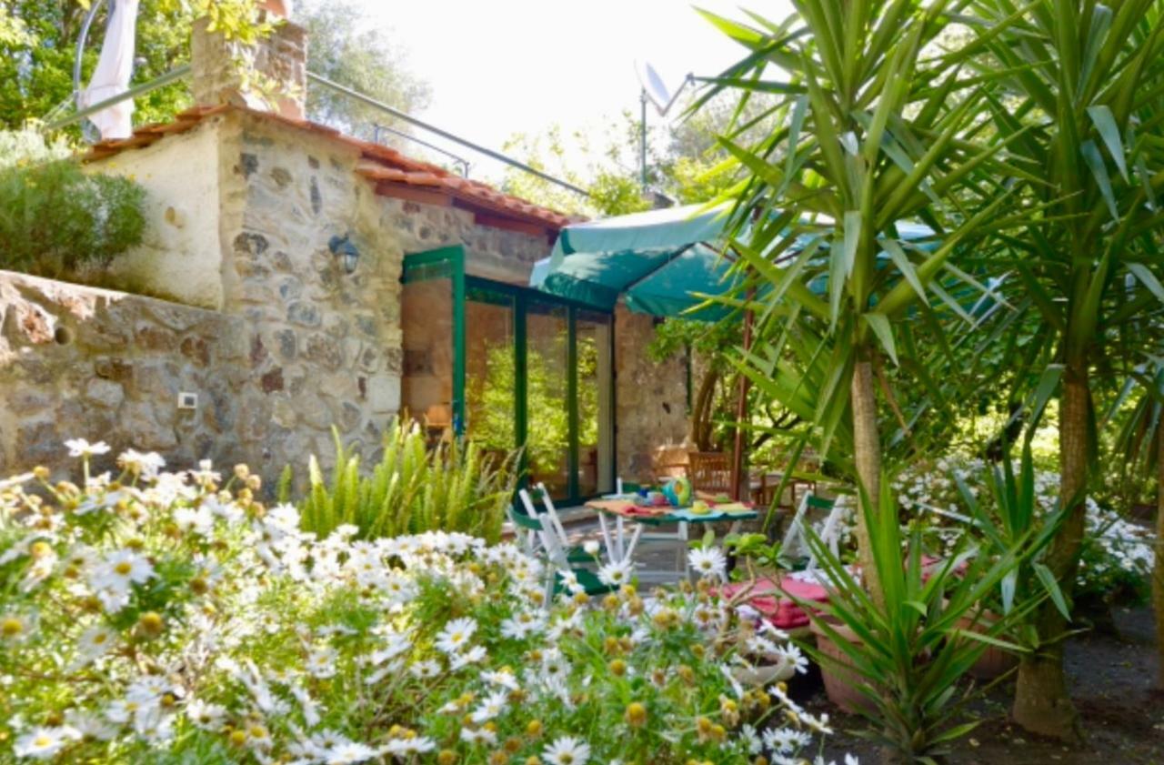 Villa Vincenzo Di Meglio Barano d'Ischia Bagian luar foto