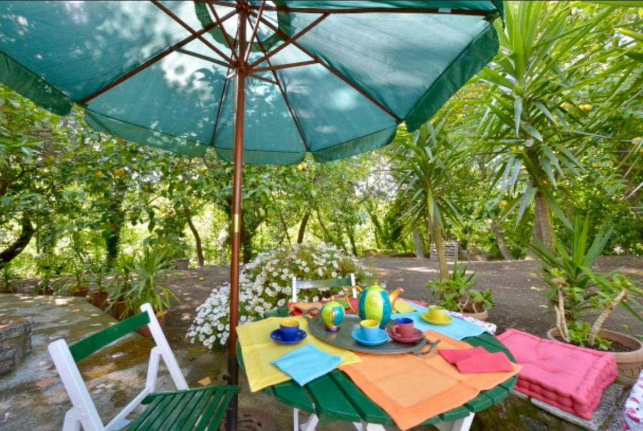 Villa Vincenzo Di Meglio Barano d'Ischia Bagian luar foto