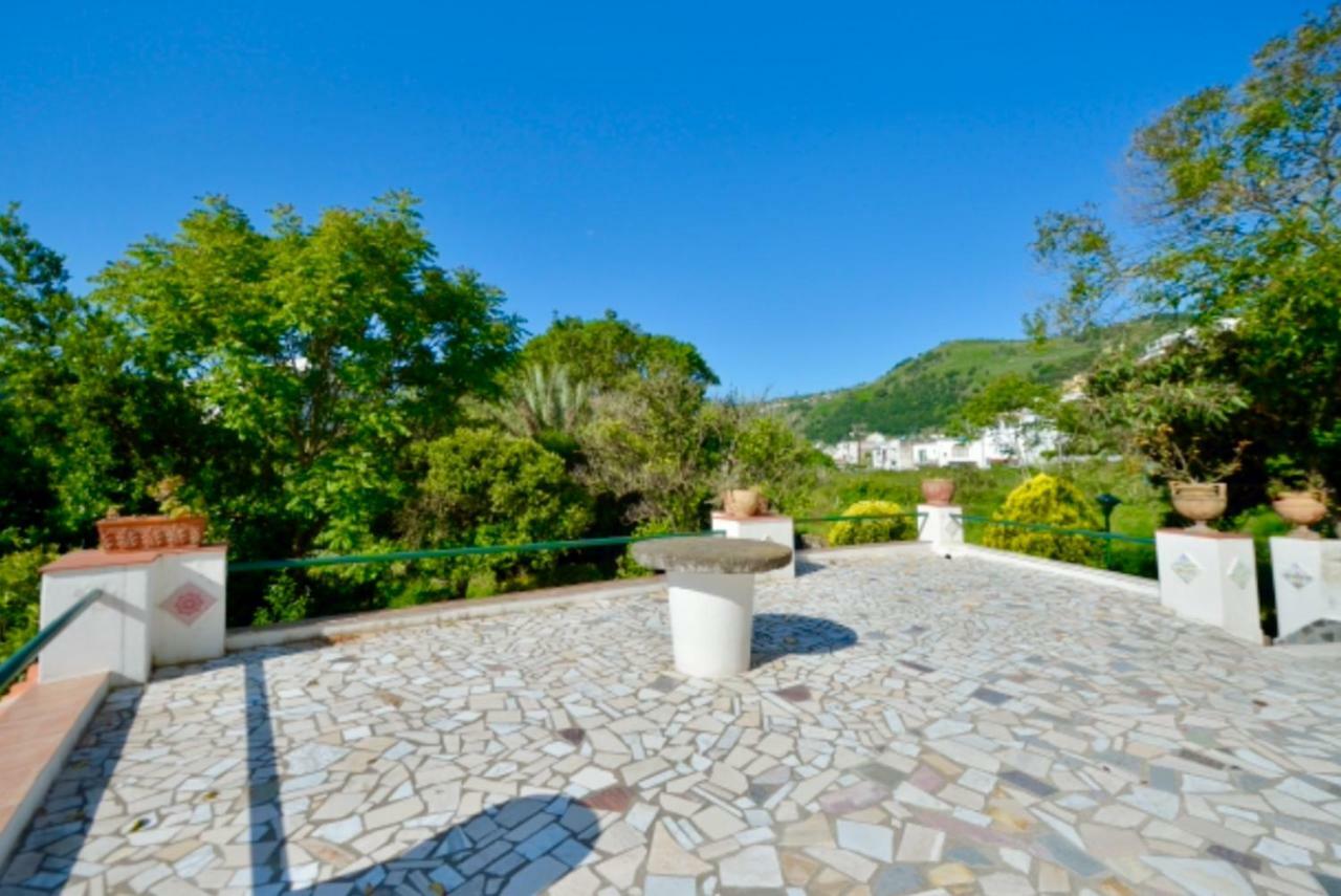 Villa Vincenzo Di Meglio Barano d'Ischia Bagian luar foto